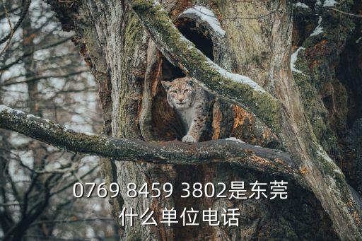 0769 8459 3802是東莞什么單位電話