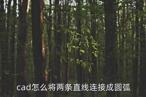 cad連接線,如何將兩條直線連接成圓弧?
