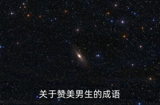 關于贊美男生的成語