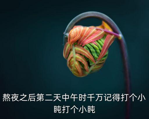小睡片刻，中午是否該小休片刻