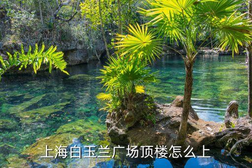 上海白玉蘭廣場頂樓怎么上