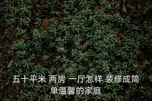五十平米 兩房 一廳怎樣 裝修成簡(jiǎn)單溫馨的家庭