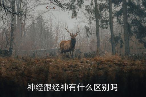 神經跟經神有什么區別嗎