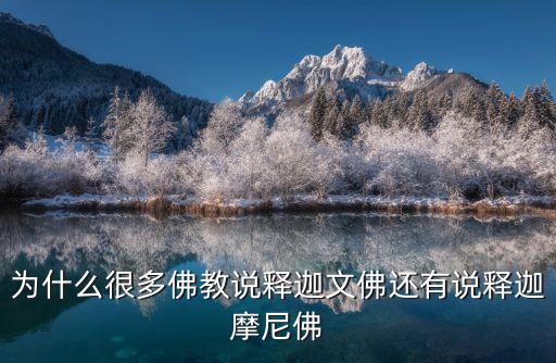 為什么很多佛教說釋迦文佛還有說釋迦摩尼佛