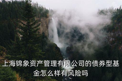 上海錦象資產(chǎn)管理有限公司的債券型基金怎么樣有風(fēng)險(xiǎn)嗎