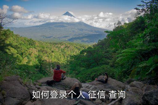 如何登錄個人 征信 查詢