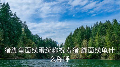 豬腳面線,豬腳面線長壽老人:吃面條時要拉得更長