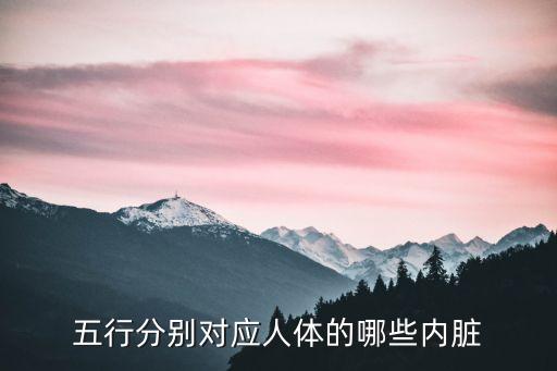 內臟五行，五行分別對應人體的哪些內臟