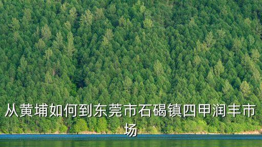 從黃埔如何到東莞市石碣鎮四甲潤豐市場