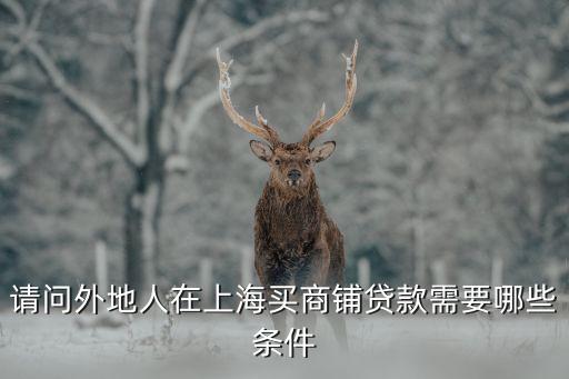 請問外地人在上海買商鋪貸款需要哪些條件