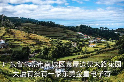 廣東省東莞市南城區(qū)袁屋邊莞太路花園大廈有沒有一家東莞金皇電子有