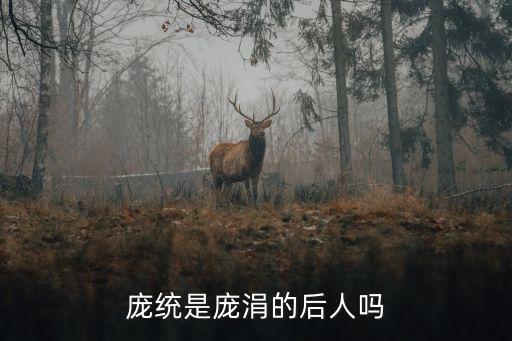 龐統(tǒng)是龐涓的后人嗎