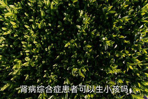 腎病綜合癥患者可以生小孩嗎