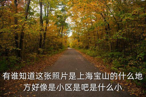 有誰知道這張照片是上海寶山的什么地方好像是小區(qū)是吧是什么小