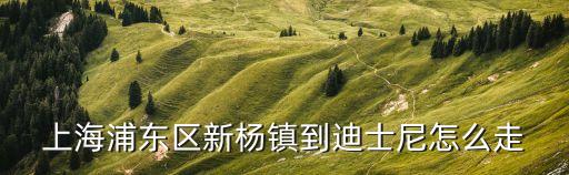 上海浦東區(qū)新楊鎮(zhèn)到迪士尼怎么走