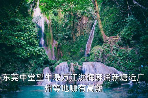 東莞中堂望牛墩萬江洪梅麻涌新塘近廣州等地哪有高薪
