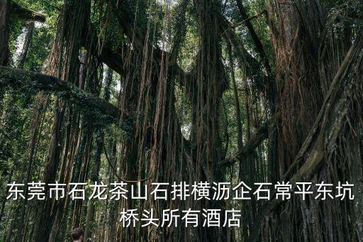 東莞橋頭旅館轉(zhuǎn)讓信息，東莞市石龍茶山石排橫瀝企石常平東坑橋頭所有酒店