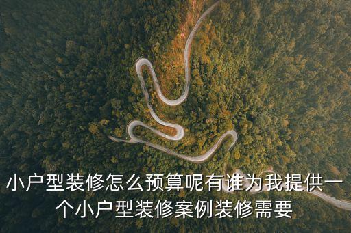 小戶型裝修怎么預算呢有誰為我提供一個小戶型裝修案例裝修需要