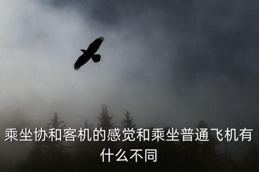 乘坐協(xié)和客機(jī)的感覺和乘坐普通飛機(jī)有什么不同