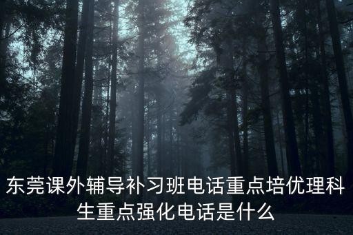 東莞課外輔導(dǎo)補(bǔ)習(xí)班電話重點培優(yōu)理科生重點強(qiáng)化電話是什么