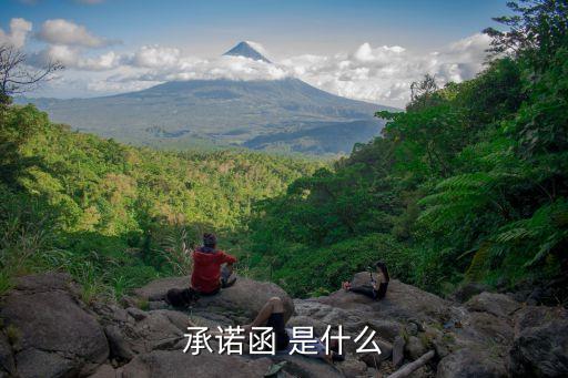 投標(biāo)承諾函，投標(biāo)人對(duì)投標(biāo)承諾函怎么寫