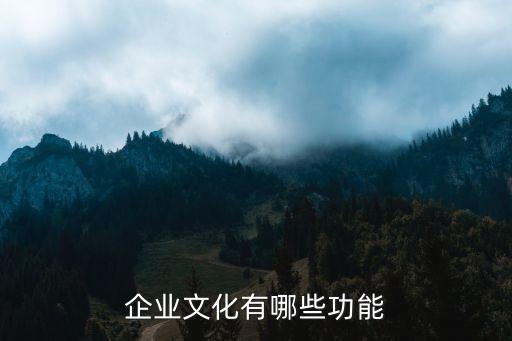 企業文化有哪些功能