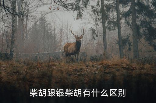 柴胡跟銀柴胡有什么區(qū)別