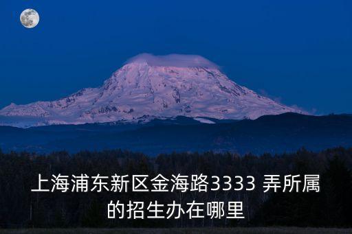 上海浦東新區(qū)金海路3333 弄所屬的招生辦在哪里