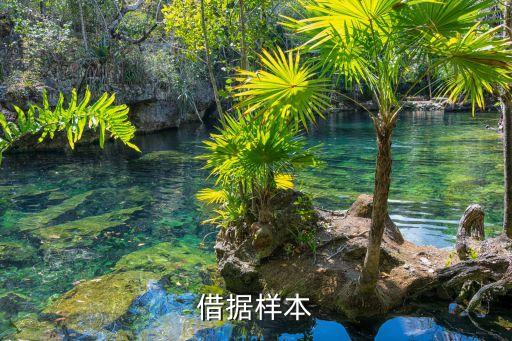 借據樣本
