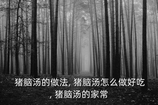 豬腦湯的做法, 豬腦湯怎么做好吃, 豬腦湯的家常