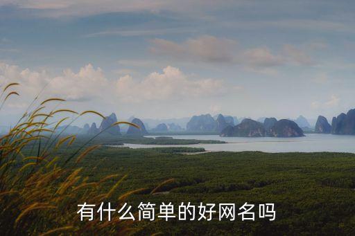 有什么簡單的好網名嗎