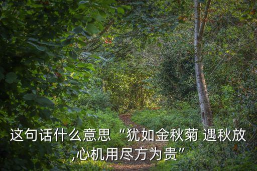 遇秋,第二句:你像一朵秋菊遇秋開窮盡所有心血更貴