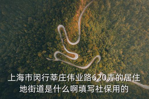 上海市閔行莘莊偉業(yè)路620弄的居住地街道是什么啊填寫社保用的