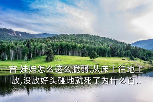 吉娃娃吧,美國最受歡迎12種犬種之一ji娃娃好管理