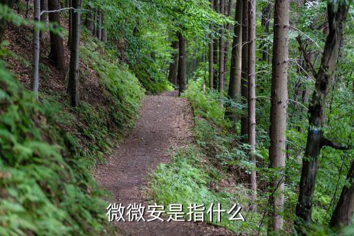 微微安是指什么