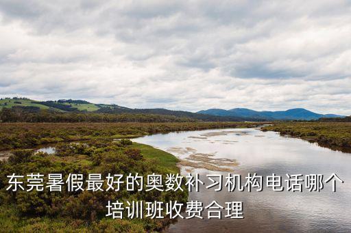 東莞大嶺山奧數培訓，東莞暑假最好的奧數補習機構電話哪個培訓班收費合理