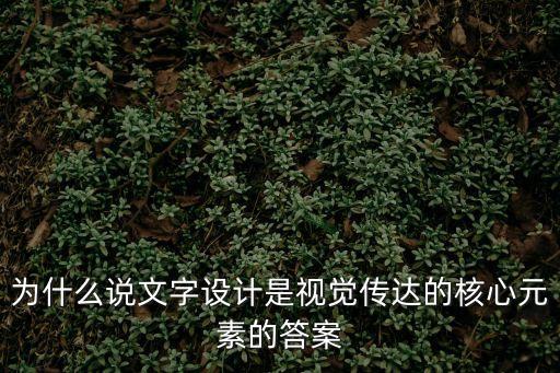 為什么說文字設計是視覺傳達的核心元素的答案