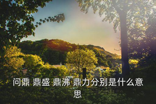鼎沸，鼎沸在字典中的意思是什么