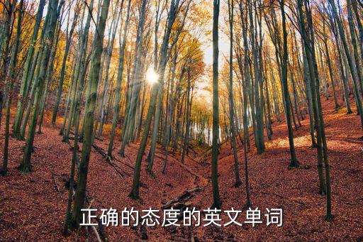 態(tài)度的英語，態(tài)度的英語怎么寫又有什么含義呢