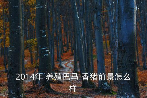 香豬養殖加盟,吳健香豬養殖步入正軌望香港養殖業生根發芽
