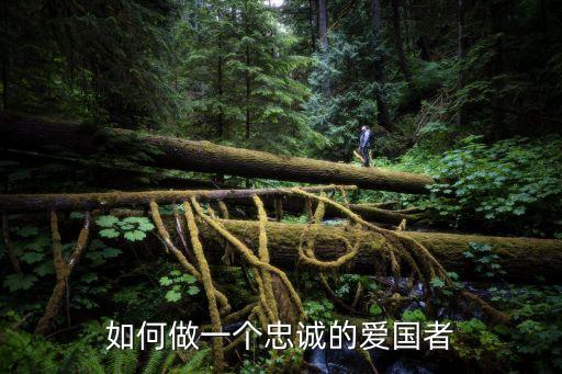 做忠誠的愛國者，如何做忠誠的愛國者