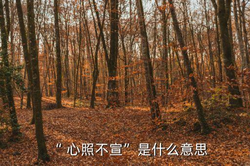心照不宣的意思,第二集:心照不宣之后的感人事跡