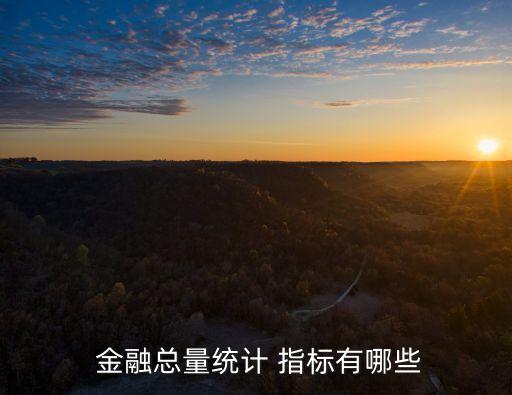 金融指標,衡量金融發展程度指標包括1.5%金融相關率