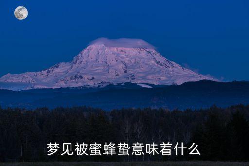 夢見被蜜蜂蟄意味著什么