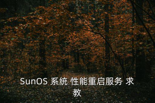 SunOS 系統 性能重啟服務 求教