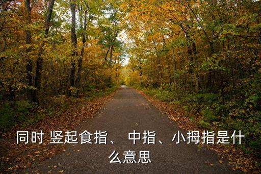 同時 豎起食指、 中指、小拇指是什么意思