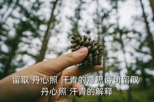 一片丹心照汗青,留下一顆愛國的丹心反思歷史