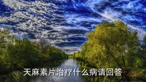 天麻素片治療什么病請回答