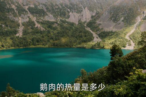 鵝肉的熱量，請問鵝肉的脂肪多少克
