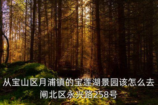 上海市寶山區寶蓮湖，從寶山區月浦鎮的寶蓮湖景園該怎么去閘北區永興路258號